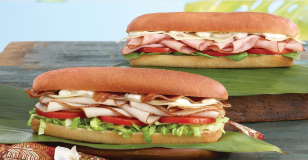Smoked Turkey Hoagie - Image 3