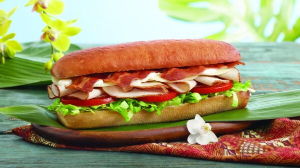 Smoked Turkey Hoagie - Image 4